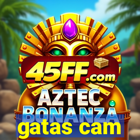 gatas cam
